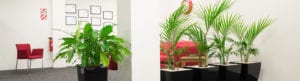 anderson-plant-services